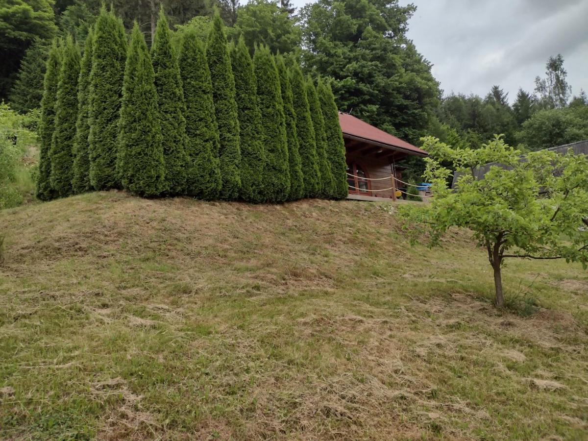 Chata Dvírka Zelezny Brod Exterior foto