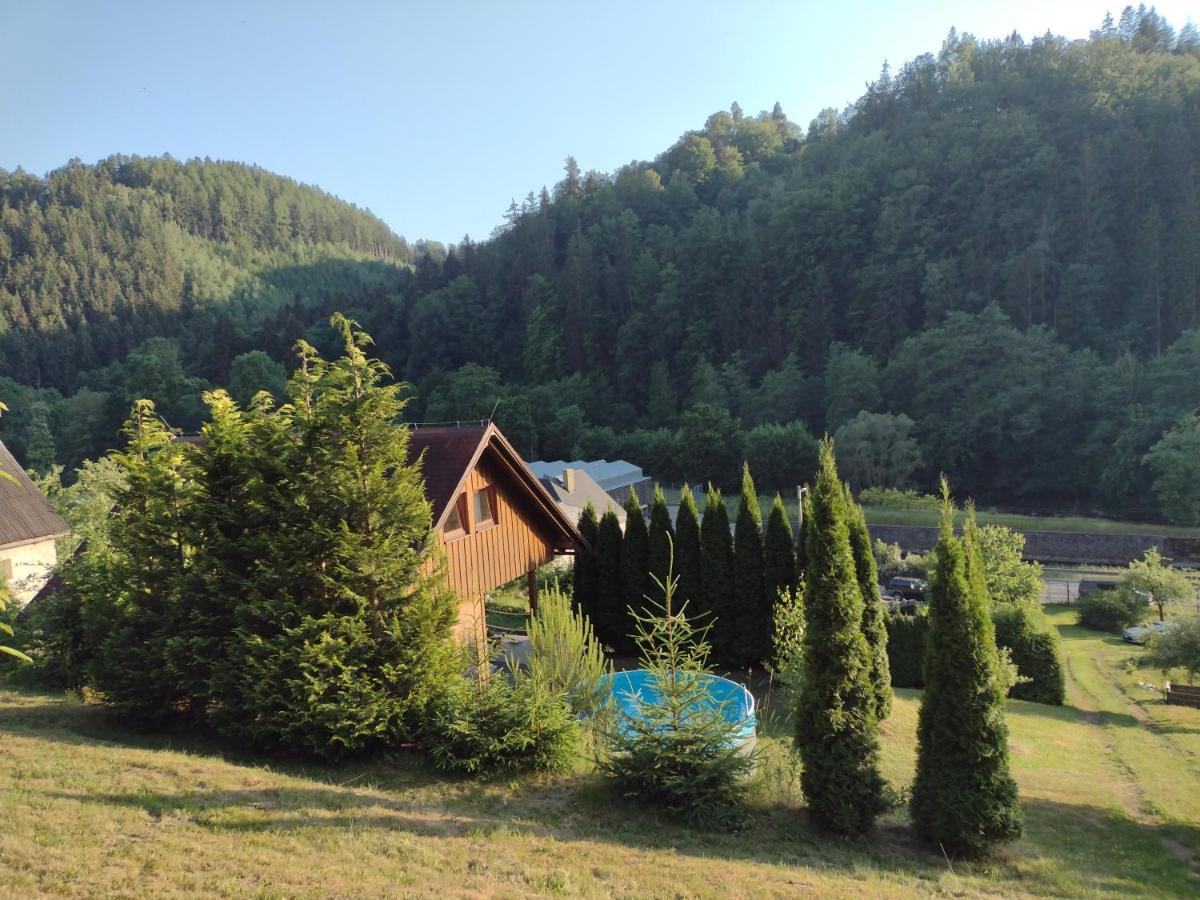 Chata Dvírka Zelezny Brod Exterior foto