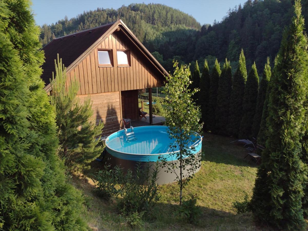 Chata Dvírka Zelezny Brod Exterior foto